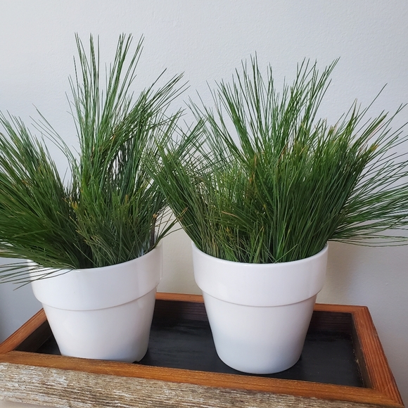 Other - New Ceramic planters